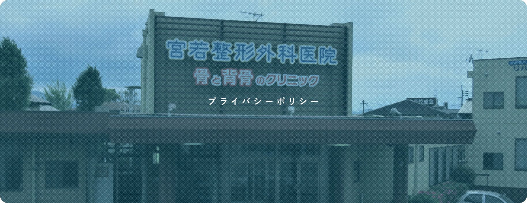 プライバシーポリシー