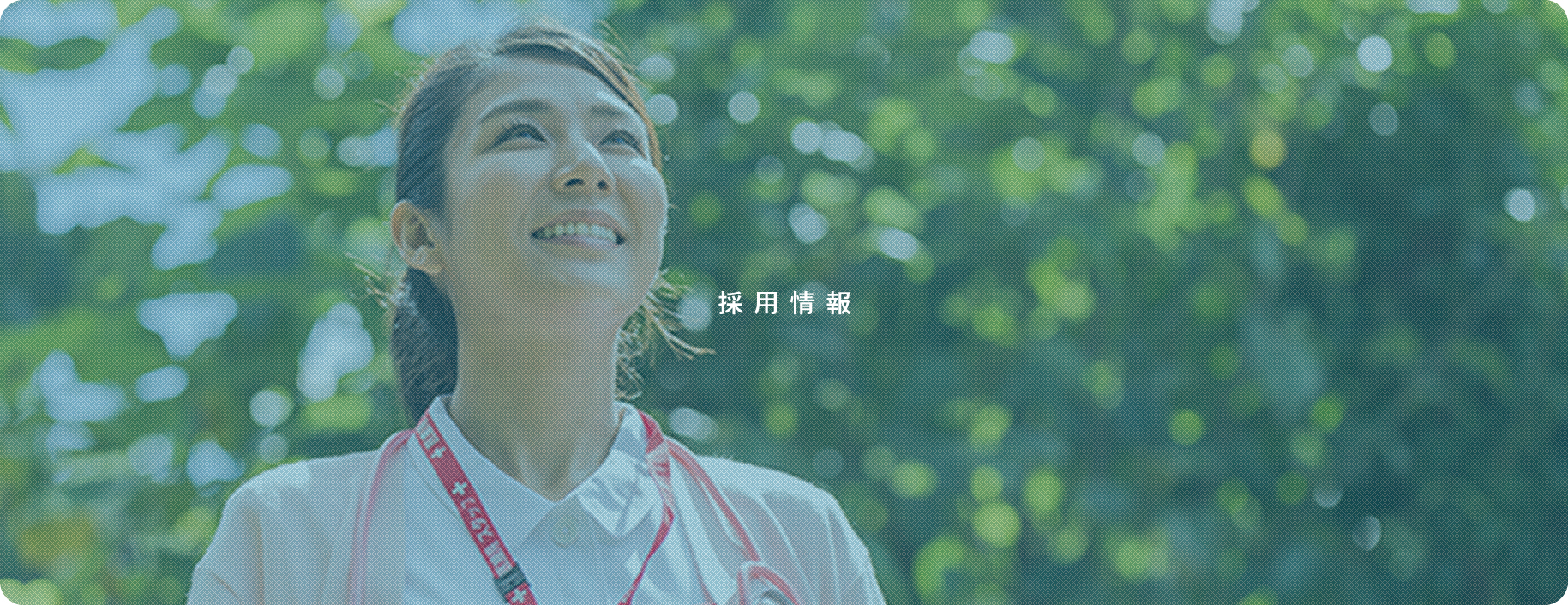 採用情報