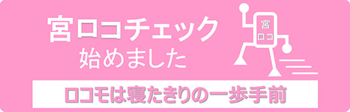 宮ロコチェック